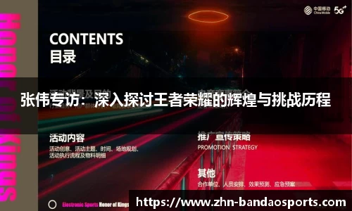 张伟专访:深入探讨王者荣耀的辉煌与挑战历程